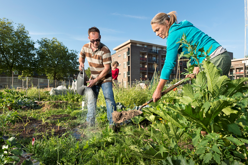 Duurzaamheid man en vrouw werken in de tuin